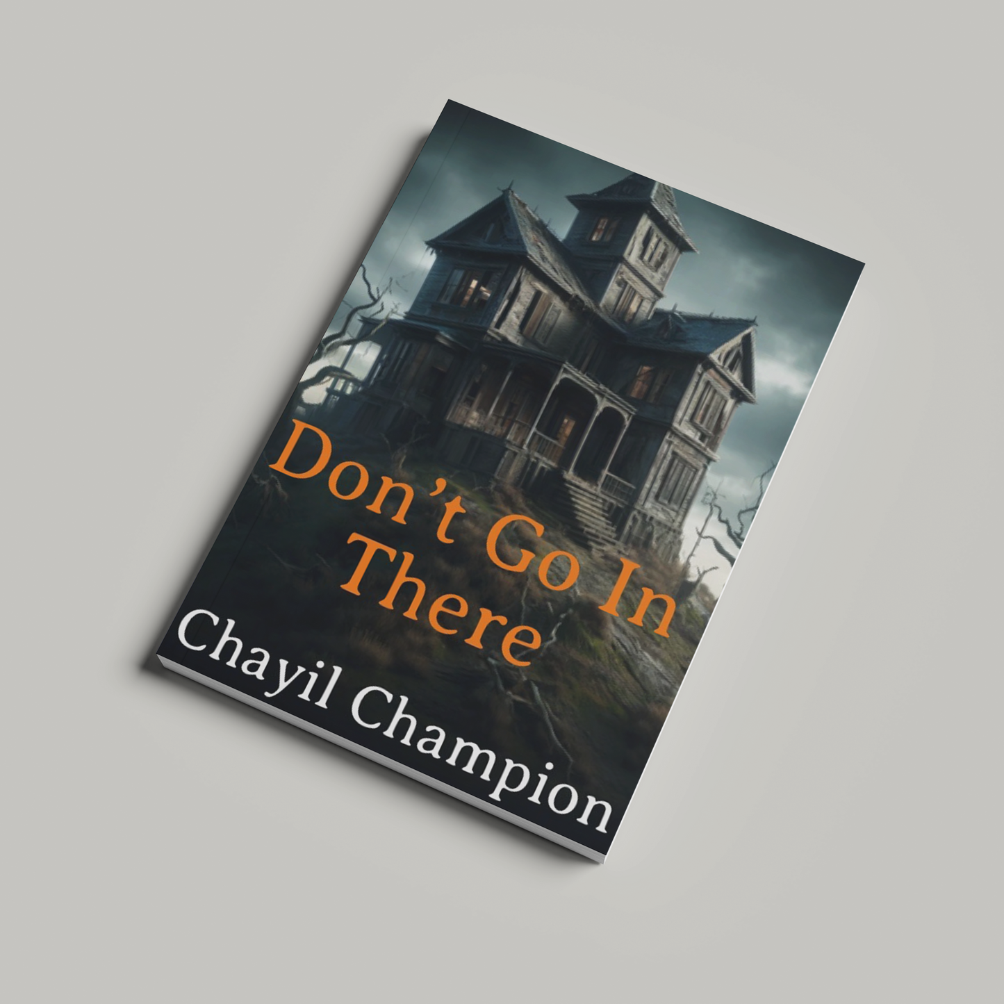 Don't Go In There Book by Chayil Champion